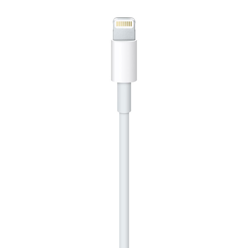 蘋果（Apple）Lightning/閃電轉 USB 連接線 (1 米)_http://gzyiqian.cn/img/images/C201906/1561532749758.jpg