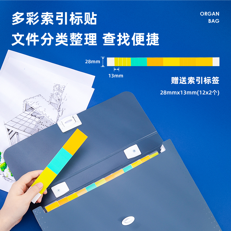 得力(deli)13格A4手提風琴包多層文件夾 樂素系列學生試卷收納袋資料冊補習包 淺藍72593_http://gzyiqian.cn/img/images/C202107/1625818245452.jpg