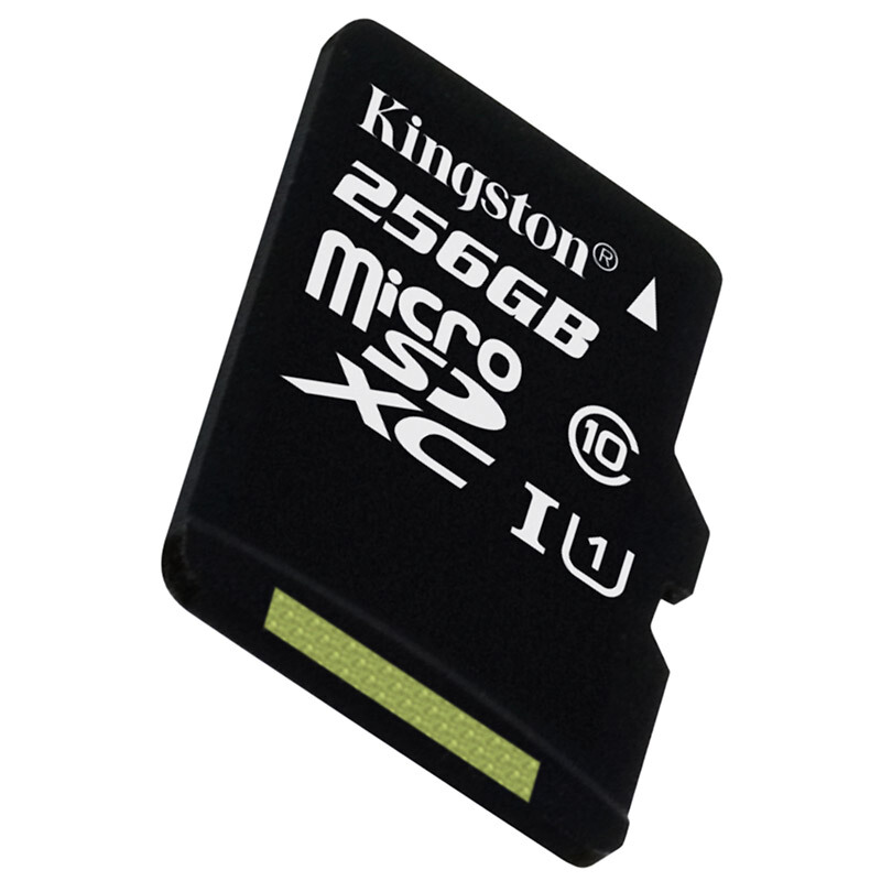 金士頓（Kingston） 內存卡 高速行車記錄儀 TF(Micro SD) Class10 UHS-I 手機存儲卡（256GB）_http://gzyiqian.cn/img/sp/276/995ff218-89ff-43c3-80c2-5bbb9e5e09a6.jpg