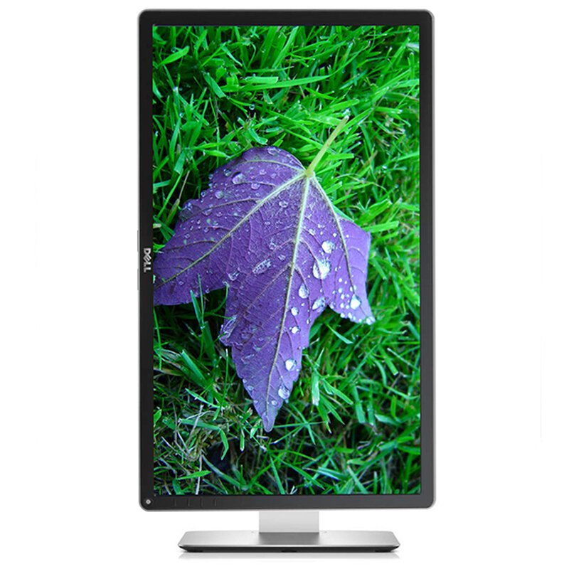 戴爾（DELL） P2415Q 23.8英寸4K超高清旋轉升降IPS屏顯示器_http://gzyiqian.cn/img/sp/294/20525694-ebac-4147-90c5-b9d4cd343ec1.jpg
