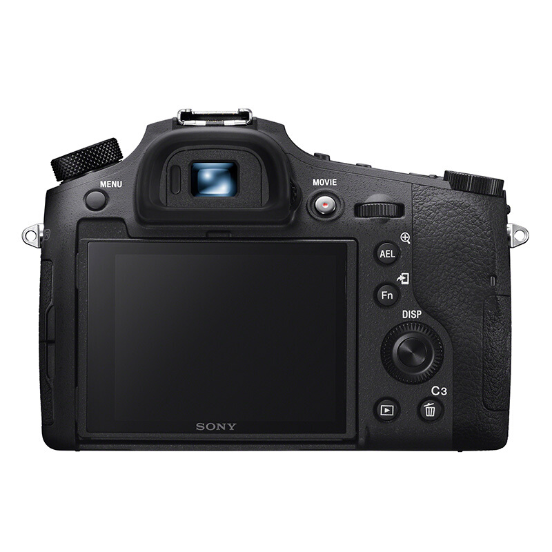 索尼（SONY） RX10 IV 黑卡超長焦旗艦數碼相機24mm-600m F2.4-F4蔡司鏡頭（DSC-RX10M4）_http://gzyiqian.cn/img/sp/307/10eee494-1933-4c14-9364-b0630a47fc6c.jpg