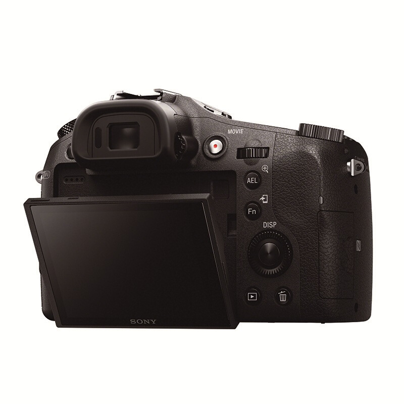 索尼（SONY） DSC-RX10 黑卡數碼相機 等效24-200mm F2.8 蔡司鏡頭（WIFI/NFC RX10M1）_http://gzyiqian.cn/img/sp/307/122daa0f-f634-4bd9-ba2f-124e3b6587a0.jpg