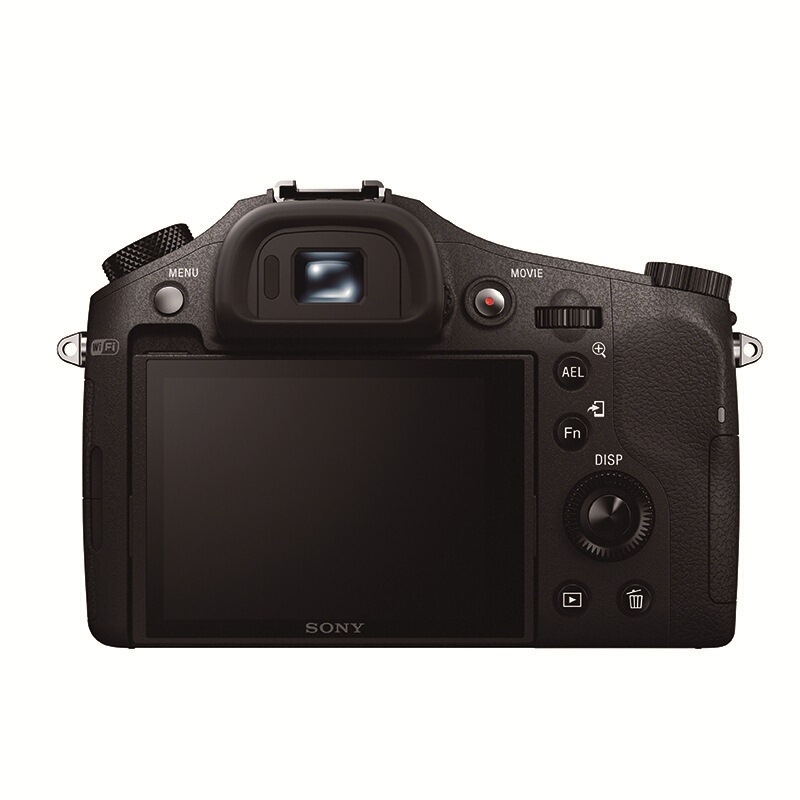 索尼（SONY） DSC-RX10 黑卡數碼相機 等效24-200mm F2.8 蔡司鏡頭（WIFI/NFC RX10M1）_http://gzyiqian.cn/img/sp/307/ed6f7730-f98f-45ee-887b-856d5f89a500.jpg