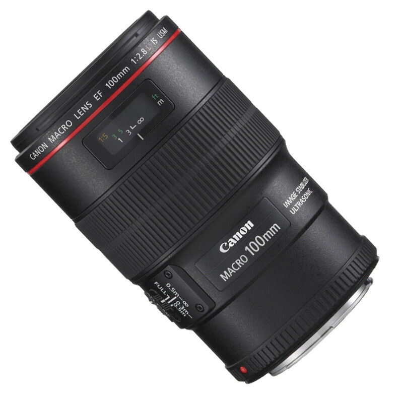佳能（Canon） EF 100mm f/2.8L IS USM 微距鏡頭_http://gzyiqian.cn/img/sp/320/d461e49a-1ad3-4d1e-aa6d-69e5529be7aa.jpg