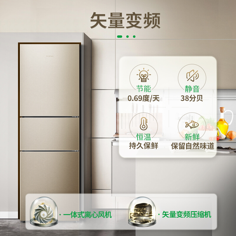 容聲(Ronshen) BCD-252WD11NPA 252升 三門冰箱_http://gzyiqian.cn/img/sp/331/22ddc659-9d72-4f39-96ce-a69f0f5140b6.jpg
