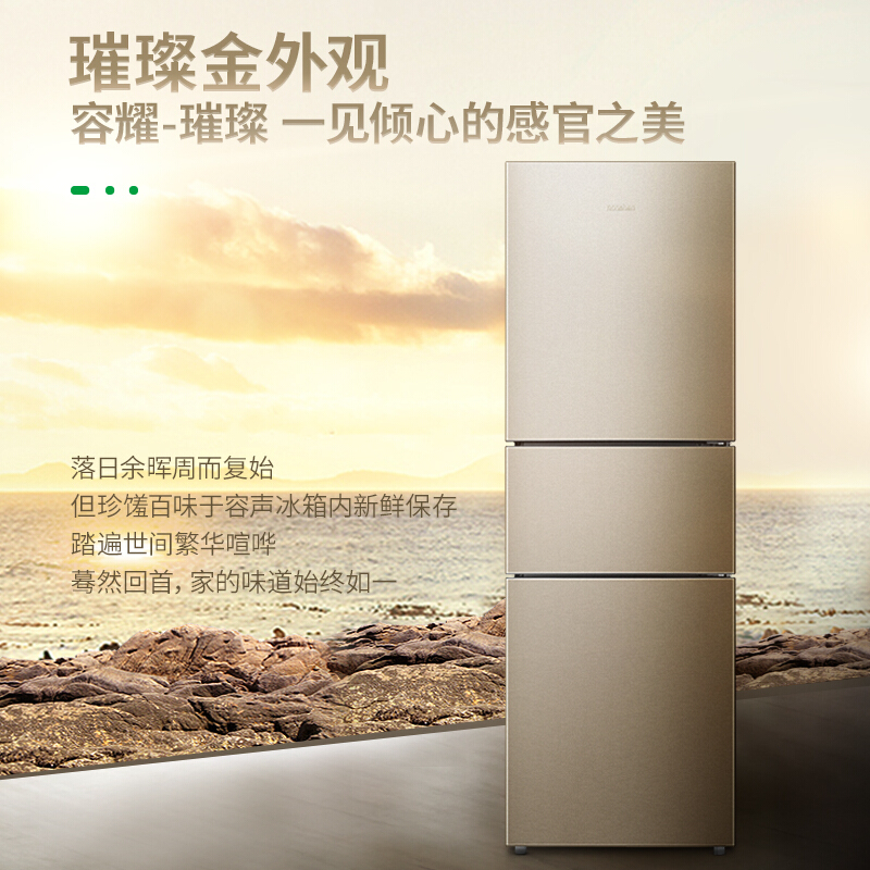 容聲(Ronshen) BCD-252WD11NPA 252升 三門冰箱_http://gzyiqian.cn/img/sp/331/eca77551-6cb8-4042-82e3-11dd9ab699ec.jpg