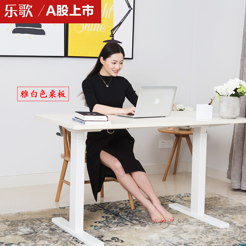 樂歌（Loctek） E3 呵護腰椎站立辦公電動升降桌/立柱3節 (桌面尺寸1200*600mm) _http://gzyiqian.cn/img/sp/361/03680e3d-68eb-44fe-88f4-c09d83bb9414.jpg