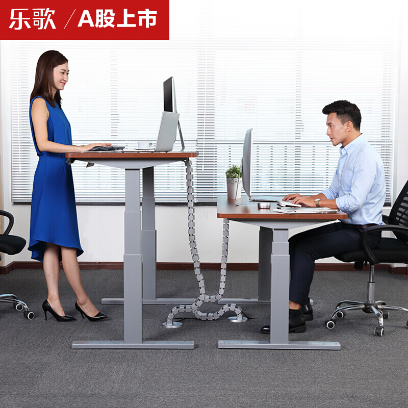 樂歌（Loctek） E3 呵護腰椎站立辦公電動升降桌/立柱3節 (凹型1400*700mm) _http://gzyiqian.cn/img/sp/361/4d454ae4-6e4a-46db-a54f-aadb0317c53e.jpg