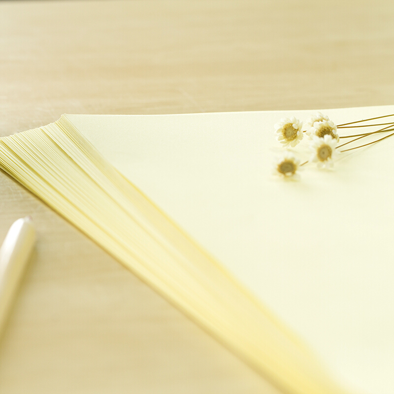 得力（deli） 7391 彩色復(fù)印紙 A4/80g 100張/包（淺黃）_http://gzyiqian.cn/img/sp/81/a3154df9-6b0c-4b62-b2a8-cbb01eaac7ef.jpg